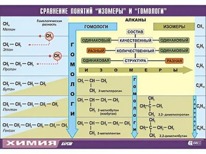 Таблица демонстрационная "Сравнение понятий изомер и гомолог" (винил 100x140) - fgospostavki.ru - Шуя