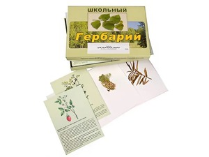 Гербарий "Для начальной школы" (30 видов, с иллюстрациями) - fgospostavki.ru - Шуя