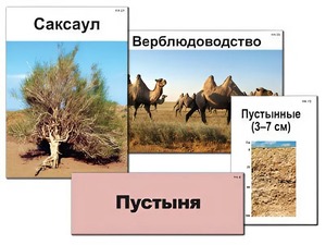 Модель-аппликация "Природные зоны России" (ламинированная) - fgospostavki.ru - Шуя