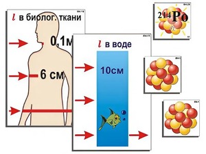 Модель-аппликация "Явление радиоактивности" (ламинированная) - fgospostavki.ru - Шуя