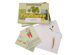 Гербарий "Культурные растения" (30 видов, с иллюстрациями) - fgospostavki.ru - Шуя