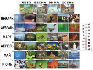 Фенологические наблюдения - fgospostavki.ru - Шуя