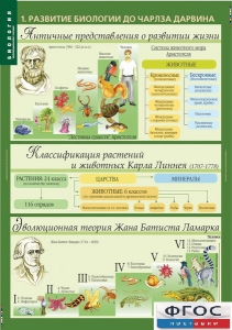 Комплект таблиц. Биология 10-11 класс. Эволюционное учение. - fgospostavki.ru - Шуя