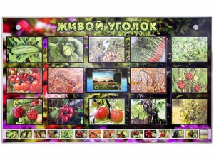 Комплект оборудования "Живой уголок" (растения) с тифлопереводом и сурдокомментариями - fgospostavki.ru - Шуя