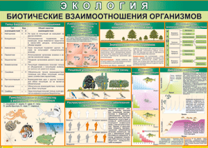 Таблица "Биотические взаимоотношения организмов" (100х140 сантиметров, винил) - fgospostavki.ru - Шуя