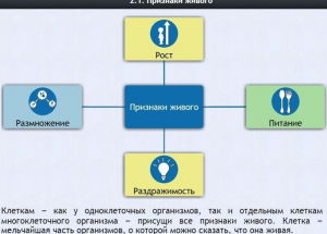 Интерактивные курсы. Биология 5 класс. Базовый - fgospostavki.ru - Шуя