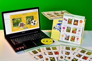 Коллекция натурально-интерактивная "Семена и плоды" - fgospostavki.ru - Шуя