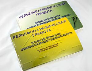 Пособие для слабовидящих детей - Рельефно-графическая грамота для слепых детей дошкольного и младшего школьного возраста - fgospostavki.ru - Шуя