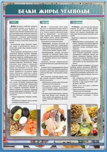 Стенд "Белки. Жиры. Углеводы" - fgospostavki.ru - Шуя
