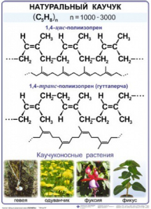 Комплект демонстрационных таблиц по химии "Полимеры" (комплект 12 таблиц) - fgospostavki.ru - Шуя