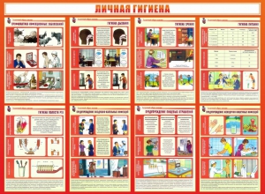 Стенд "Личная гигиена" - fgospostavki.ru - Шуя