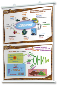 Плакаты по русскому языку для оформления кабинета. - fgospostavki.ru - Шуя