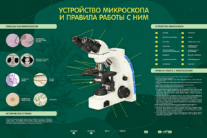 Электрифицированный стенд "Устройство микроскопа и правила работы c ним" - fgospostavki.ru - Шуя