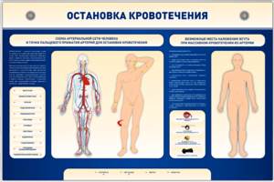 Электрифицированный стенд-тренажер "Остановка кровотечения" - fgospostavki.ru - Шуя