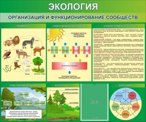 Стенд "Экология. Организация и функционирование сообществ" - fgospostavki.ru - Шуя