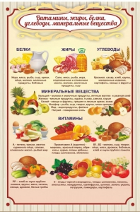 Стенд "Витамины, жиры, белки" - fgospostavki.ru - Шуя