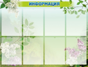 Стенд "Информация" Вариант 13 - fgospostavki.ru - Шуя