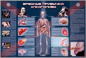 Электрифицированный стенд "Вредные привычки: алкоголизм" - fgospostavki.ru - Шуя