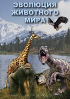DVD "Эволюция животного мира" - fgospostavki.ru - Шуя
