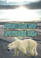 DVD "Животный мир Арктической зоны" - fgospostavki.ru - Шуя