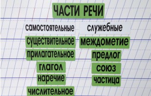 Набор магнитных карточек "Части речи" (фон зелёный) - fgospostavki.ru - Шуя