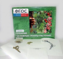Гербарий "Основные группы растений" (52 листа) - fgospostavki.ru - Шуя