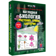 Наглядная биология. 6 класс. Растения. Грибы. Бактерии - fgospostavki.ru - Шуя