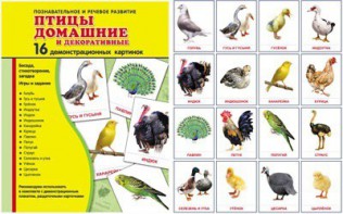 Демонстрационные карточки "Птицы домашние и декоративные" - fgospostavki.ru - Шуя
