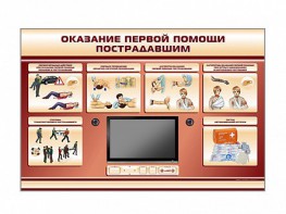 Многофункциональный интерактивный стенд-тренажер "Оказание первой помощи пострадавшим" для учащихся общеобразовательных учреждений - fgospostavki.ru - Шуя