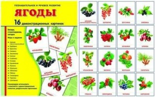 Демонстрационные карточки "Ягоды" - fgospostavki.ru - Шуя