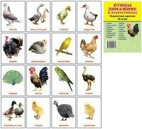 Раздаточные карточки "Птицы домашние и декоративные" - fgospostavki.ru - Шуя