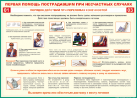 Таблица "Порядок действий при переломах конечностей" (100х140 сантиметров, винил) - fgospostavki.ru - Шуя