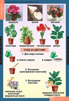 Комплект таблиц. Окружающий мир 1 класс. - fgospostavki.ru - Шуя