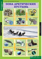 Комплект таблиц. Окружающий мир 4 класс. - fgospostavki.ru - Шуя