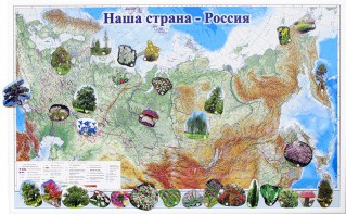 Магнитные карточки "Растения" - fgospostavki.ru - Шуя