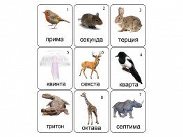 Набор магнитных карточек по музыке "Животные" (9 штук) - fgospostavki.ru - Шуя