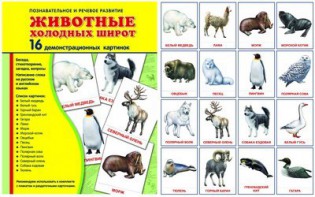 Демонстрационные карточки "Животные холодных широт" - fgospostavki.ru - Шуя