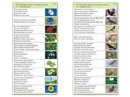 Комплект карточек (10) "Обучающий калейдоскоп. Природа" - fgospostavki.ru - Шуя