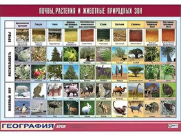 Таблица демонстрационная "Почвы, растения и животные природных зон" (винил 70*100) - fgospostavki.ru - Шуя
