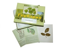 Гербарий "Дикорастущие растения" (30 видов, с иллюстрациями) - fgospostavki.ru - Шуя