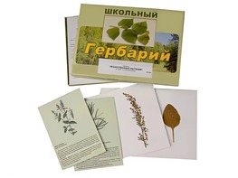 Гербарий "Лекарственные растения" (22 вида с иллюстрациями) - fgospostavki.ru - Шуя