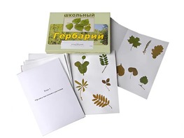 Гербарий "Морфология растений" (6 тем, 30 видов) - fgospostavki.ru - Шуя