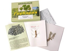 Гербарий "Водоросли. Грибы. Лишайники" (раздаточный) - fgospostavki.ru - Шуя