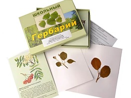 Гербарий "Систематика растений. Семейство Розоцветные" (раздаточный) - fgospostavki.ru - Шуя