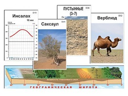 Модель-аппликация "Природные зоны" - fgospostavki.ru - Шуя