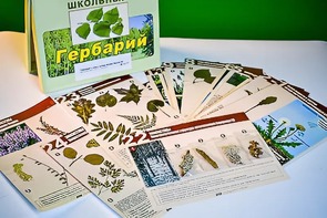 Гербарий к курсу основ общей биологии - fgospostavki.ru - Шуя