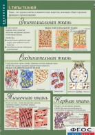 Комплект таблиц. Биология 8-9 класс. Человек. - fgospostavki.ru - Шуя
