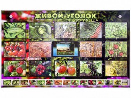 Комплект оборудования "Живой уголок" (растения) с тифлопереводом и сурдокомментариями - fgospostavki.ru - Шуя