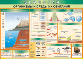 Таблица "Организмы и среды их обитания" (100х140 сантиметров, винил) - fgospostavki.ru - Шуя
