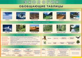 Таблица "Экология. Обобщающие таблицы" (100х140 сантиметров, винил) - fgospostavki.ru - Шуя